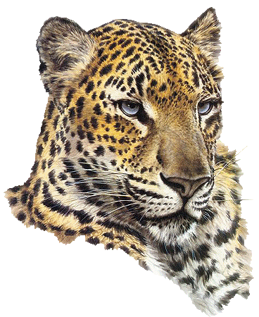 �� ������